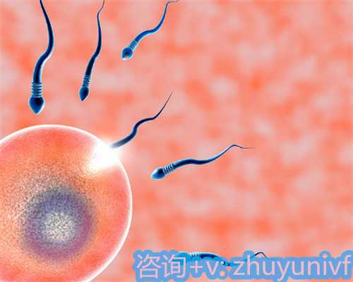 上海试管婴儿在线咨询及助孕保险新模式解析