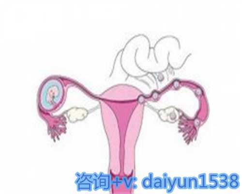 上海借腹生子的成功率高吗（上海做供卵试管要多少钱）