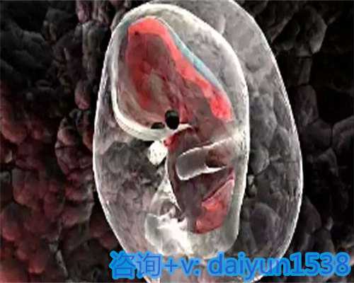 上海代怀助孕指南：个人家庭寻找代妈服务与费用考量