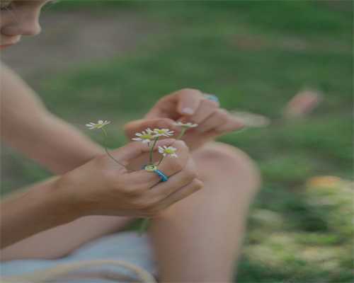 探寻上海助孕机构：试管助孕服务、签约流程与权威名单解析