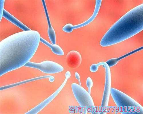 上海九院试管婴儿医生推荐及成功率分析